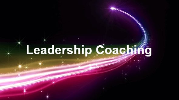 Leadership Coaching in an image animating Catamentum's logo, showing tailored coaching for goal achieving, collaboration improvement & influencing organizations